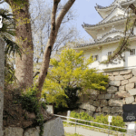 152．津城